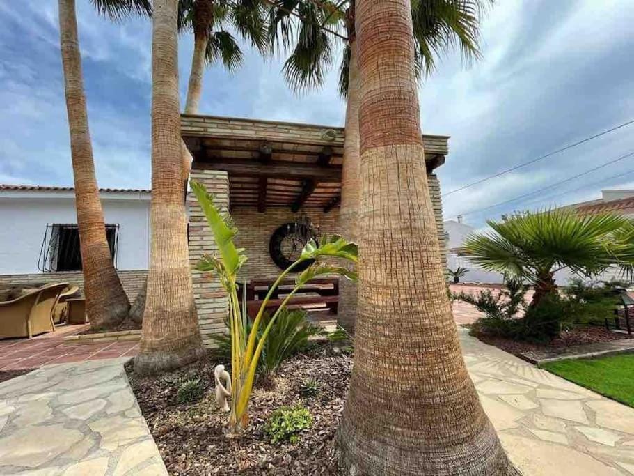 Property building, Day, Garden, Garden view