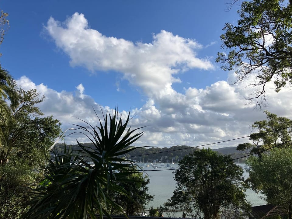 Surf'n'Joe luxury one bedroom suite Apartment in Pittwater Council