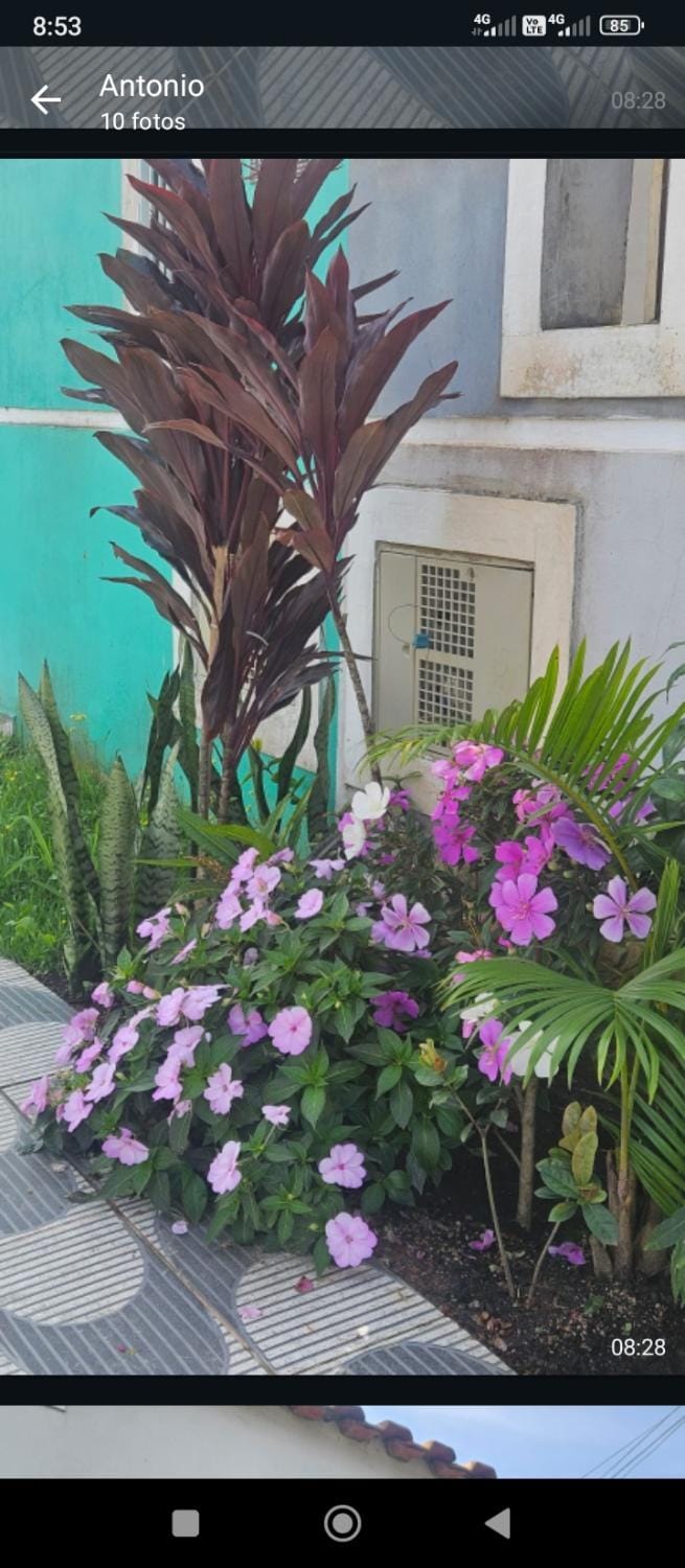 Casa bem te vi House in Itanhaém