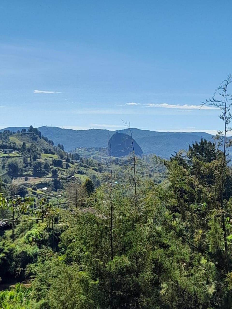 View (from property/room)