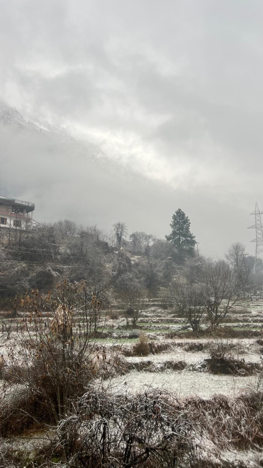 Nomaden Kasol Hostel in Himachal Pradesh