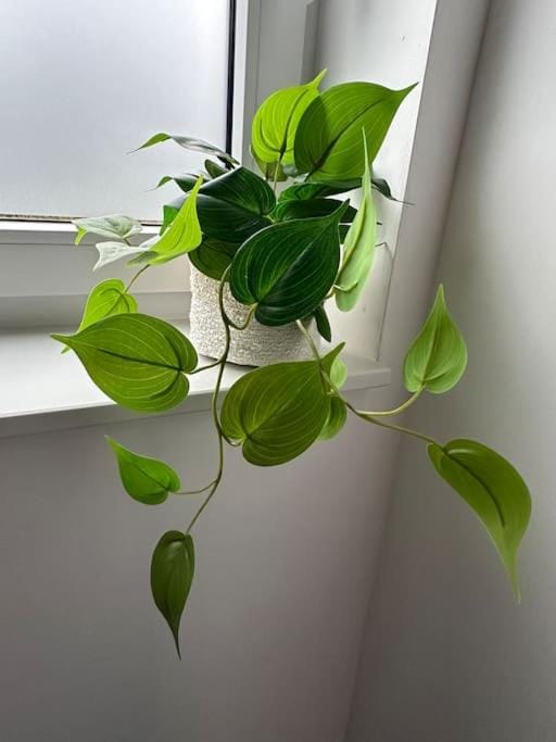 Chambre neuve 1 ou 2 personnes Apartment in Hauts-de-France