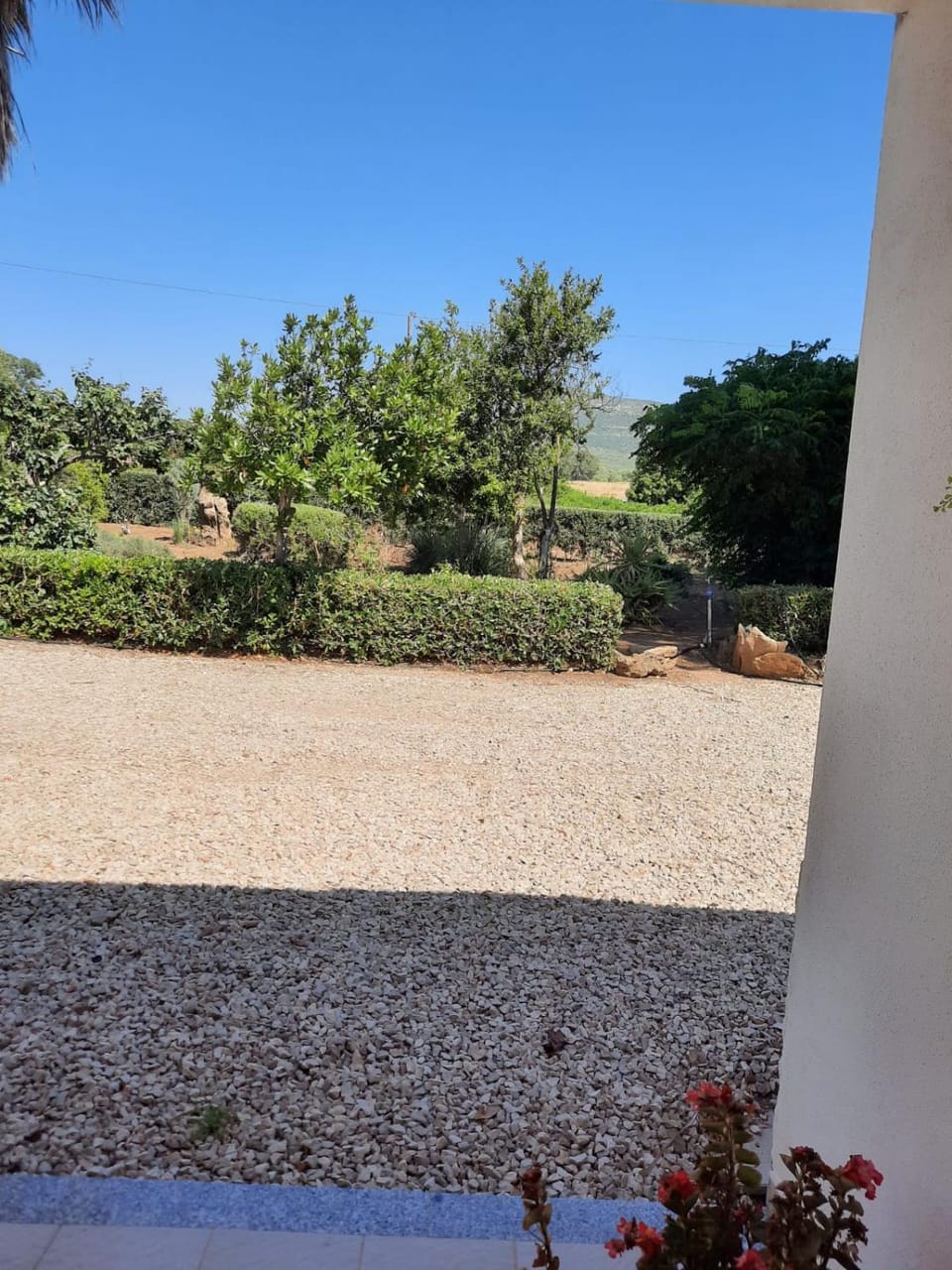 Garden view