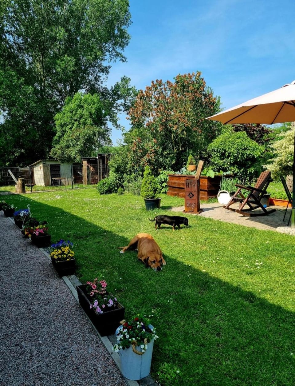 Haus am Wiesengrund Apartment in Mecklenburg-Vorpommern, Germany