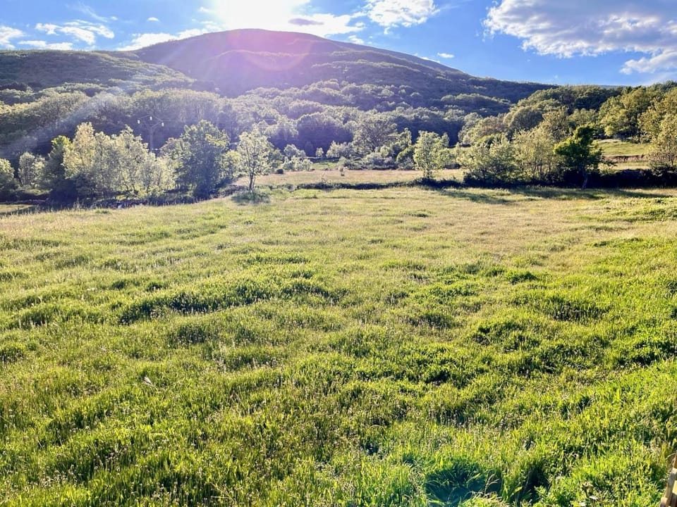 Garden, Garden view