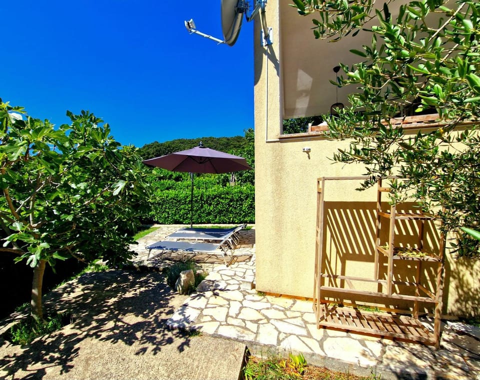 Property building, Patio, Day, Garden, sunbed