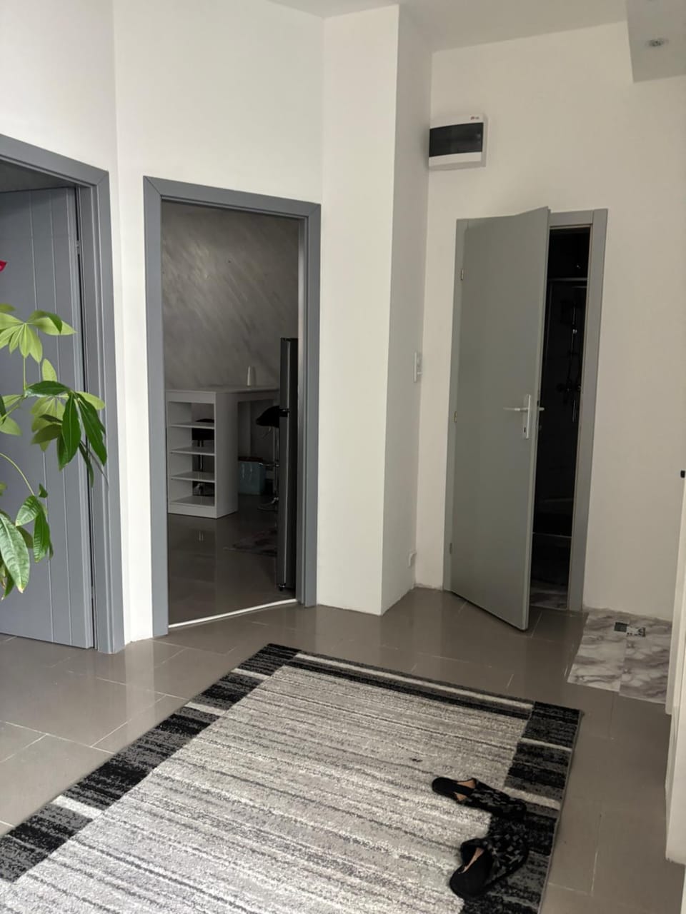 Stan na dan Loznica Apartment in Bosnia and Herzegovina