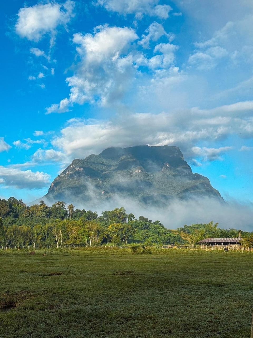 Natural landscape