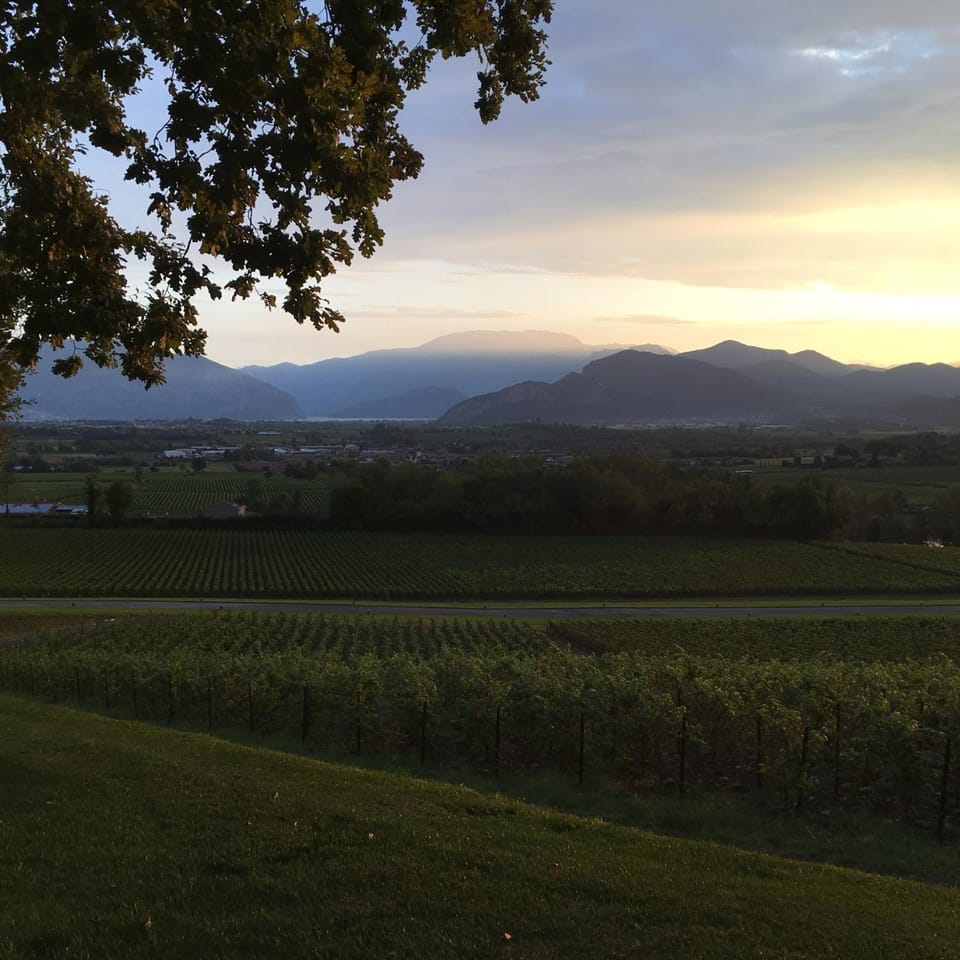 The Look Franciacorta Apartment in Province of Brescia