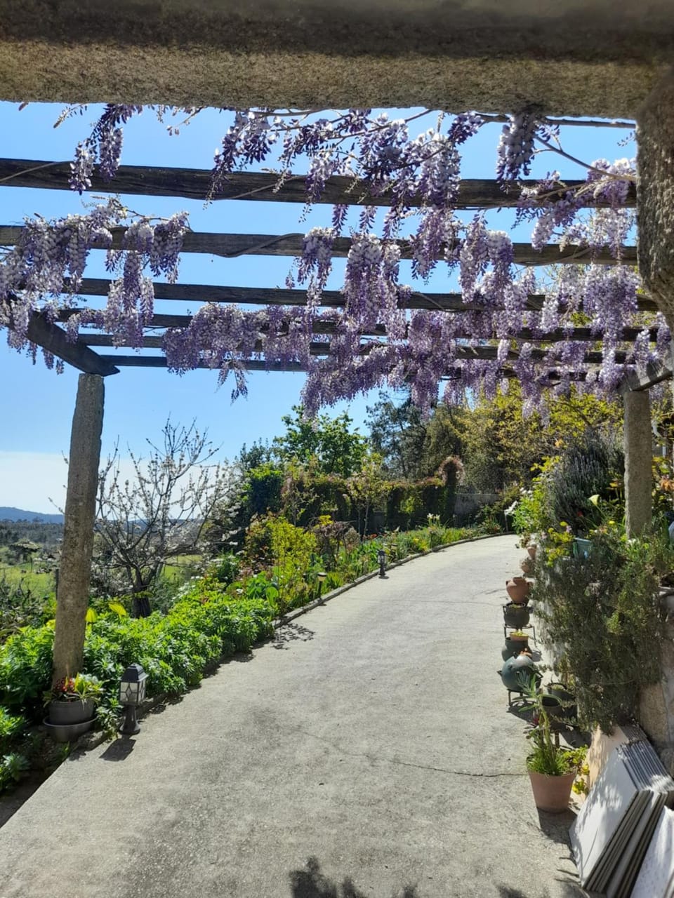 Alojamento São Lourenço Bed and Breakfast in Aveiro District, Portugal