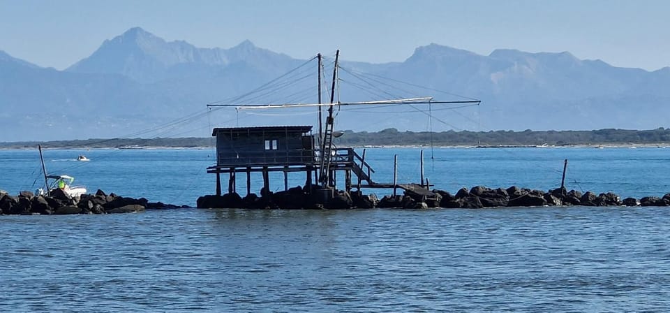 House Orilia in the green and by the sea Apartment in Marina di Pisa