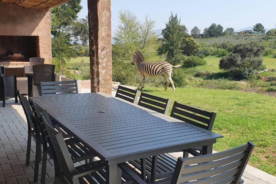 Patio, Garden, Dining area, Animals, Garden view