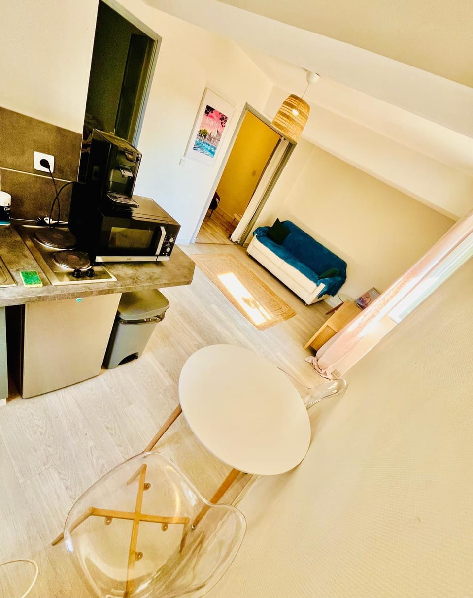 Coup de foudre sur Erdre Apartment in Nantes