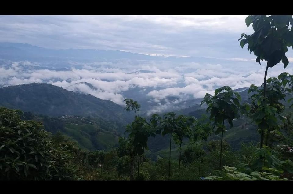 sanjivani buti organic krisi farm & resort Farm Stay in Bagmati Province, Nepal