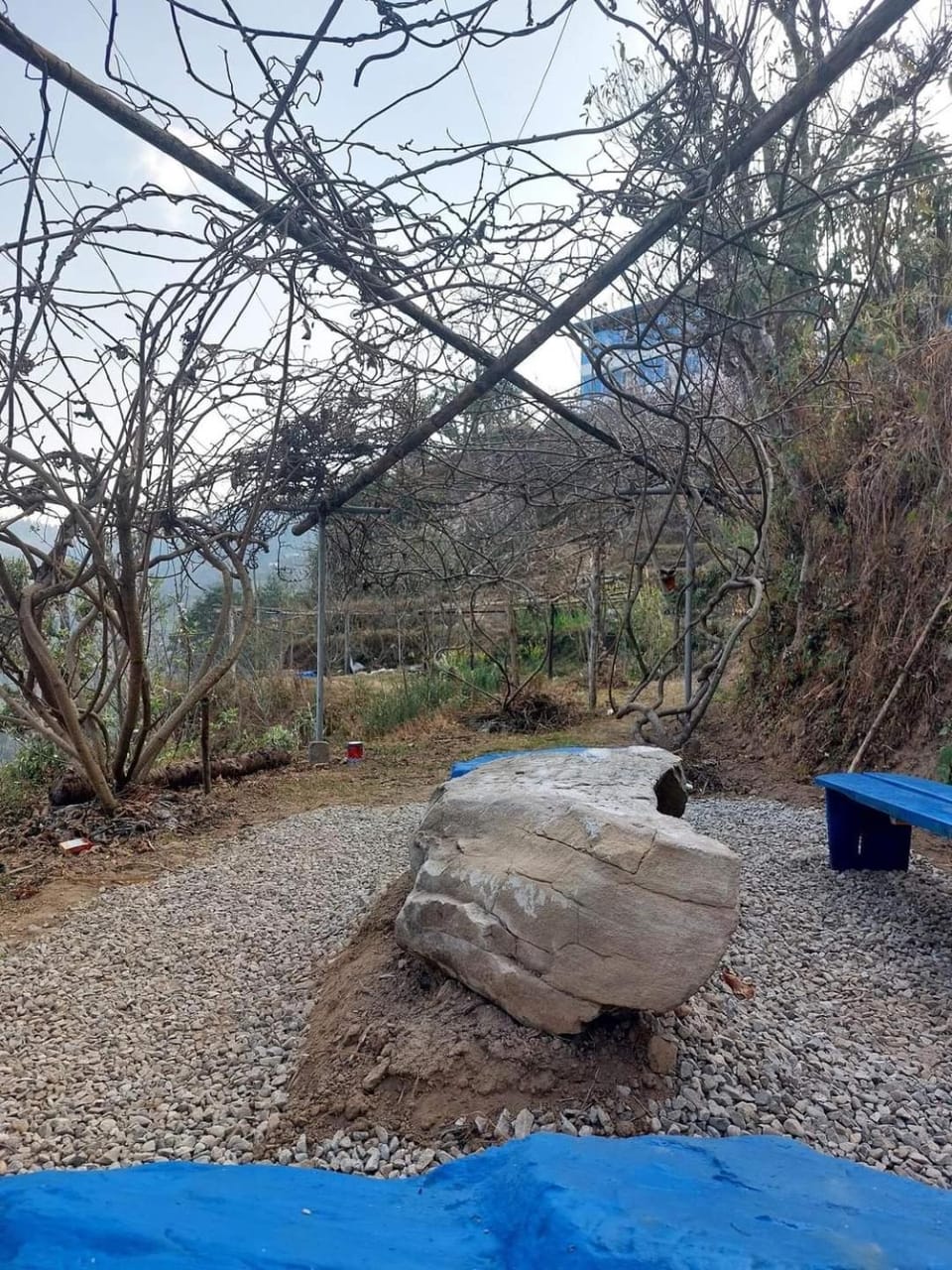 sanjivani buti organic krisi farm & resort Farm Stay in Bagmati Province, Nepal