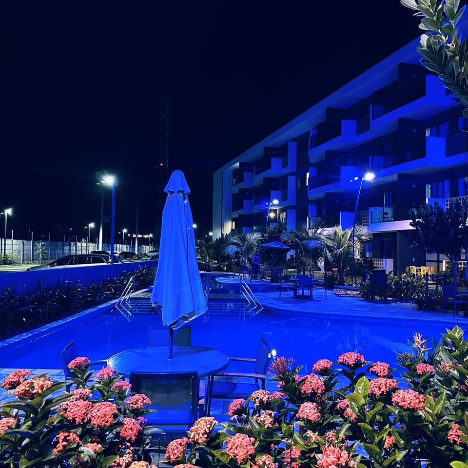 Night, Garden, Garden, Swimming pool, Swimming pool