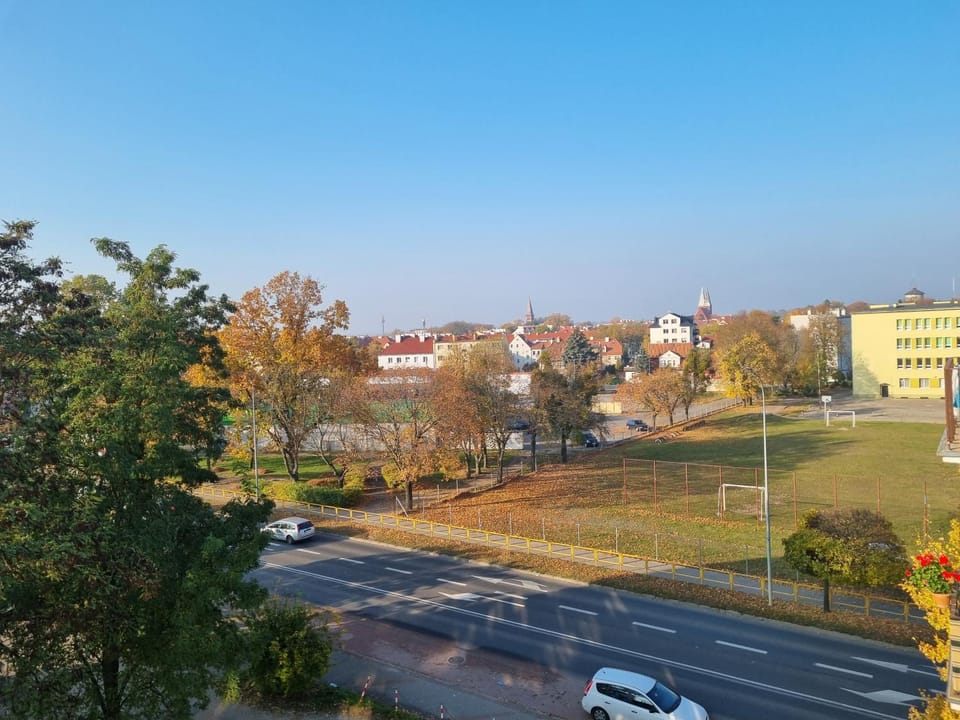 Day, Neighbourhood, Street view