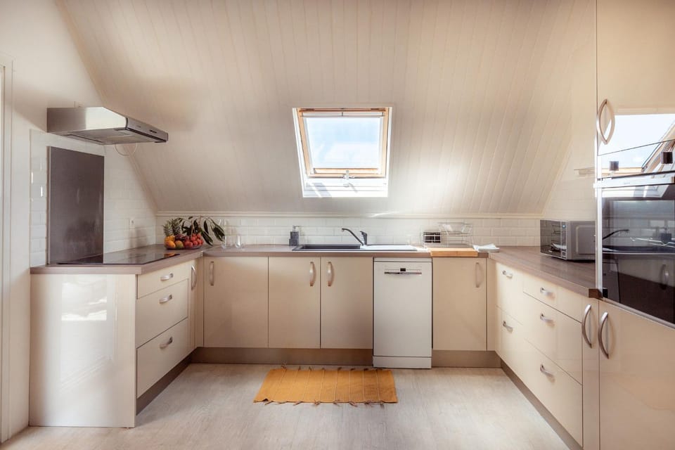 dishwasher, oven, stove, kitchen
