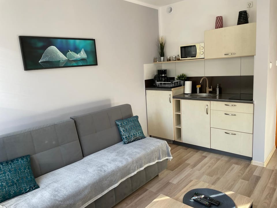 Living room, kitchen