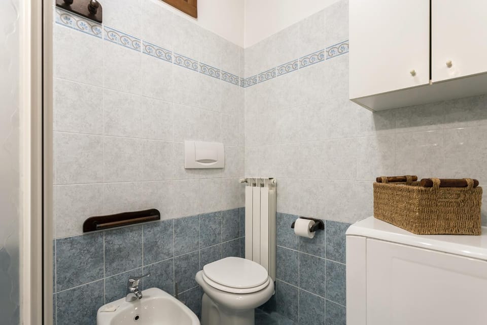 Shower, Toilet, Bathroom, bidet