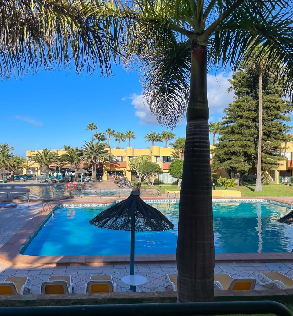 Day, Swimming pool, sunbed