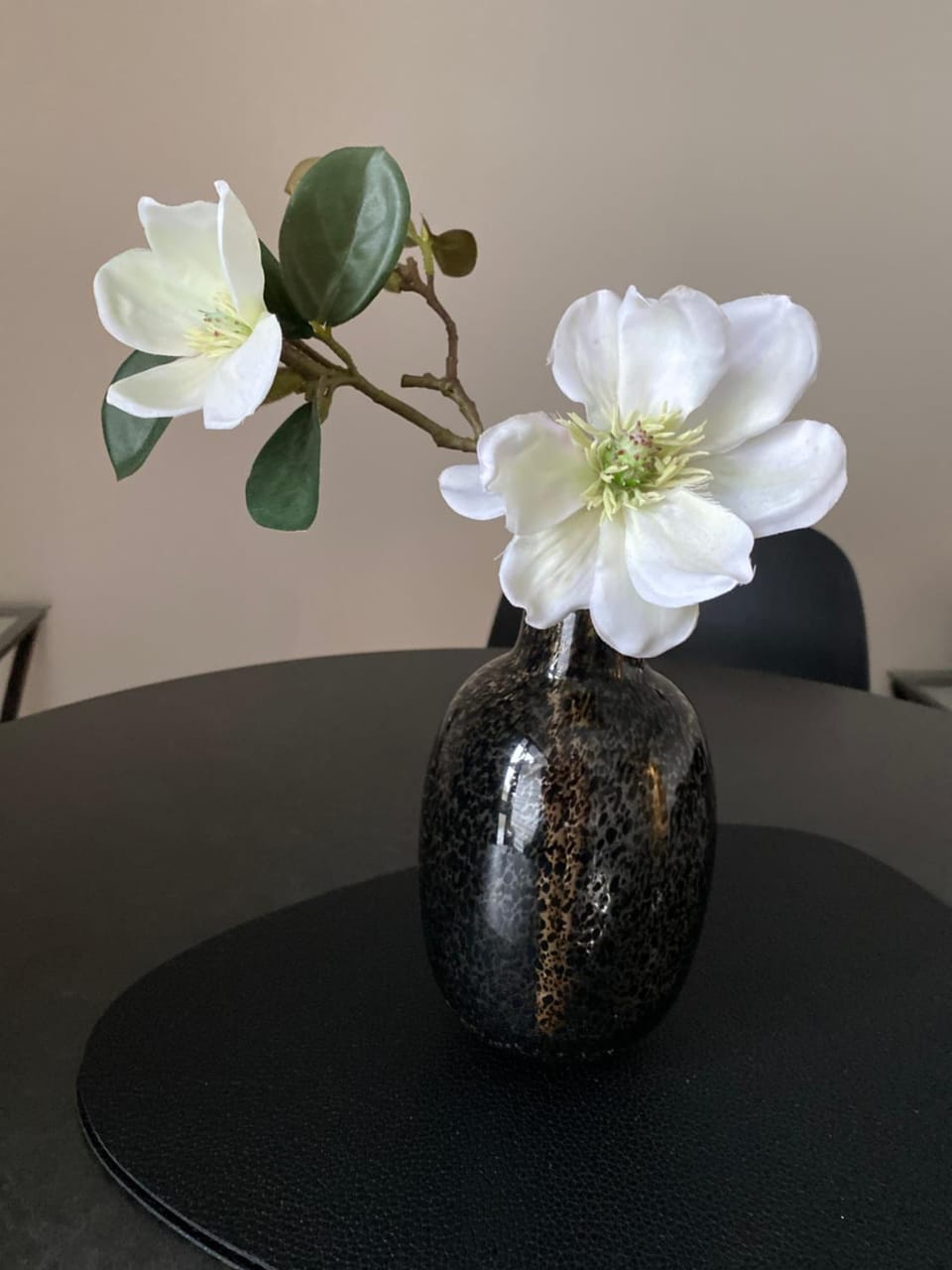 Ihimaera Suite 1 or 2 brm River Garden Cambridge with Complimentary Continental Breakfast Apartment in Cambridge