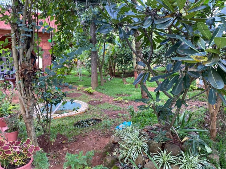Natural landscape, Garden