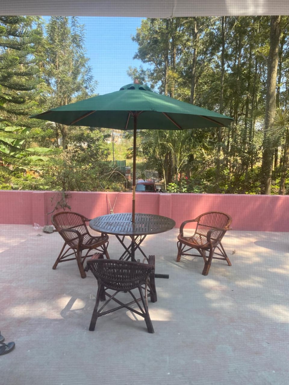 Garden view