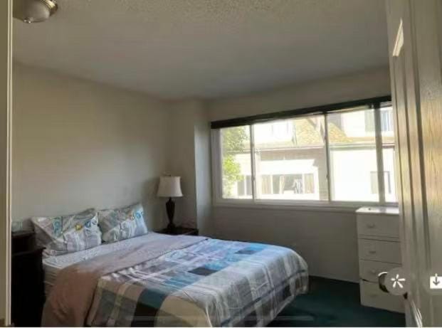 greenview mck sunny room Vacation rental in Calgary