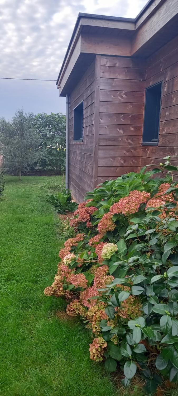 Natural landscape, Garden, Garden view