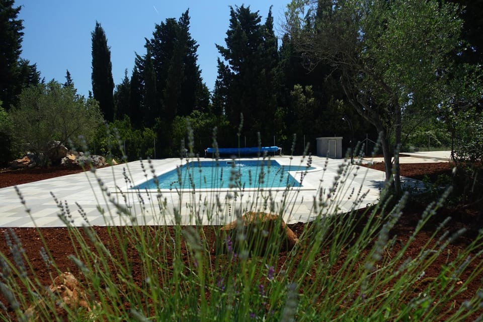 Patio, Garden, Swimming pool