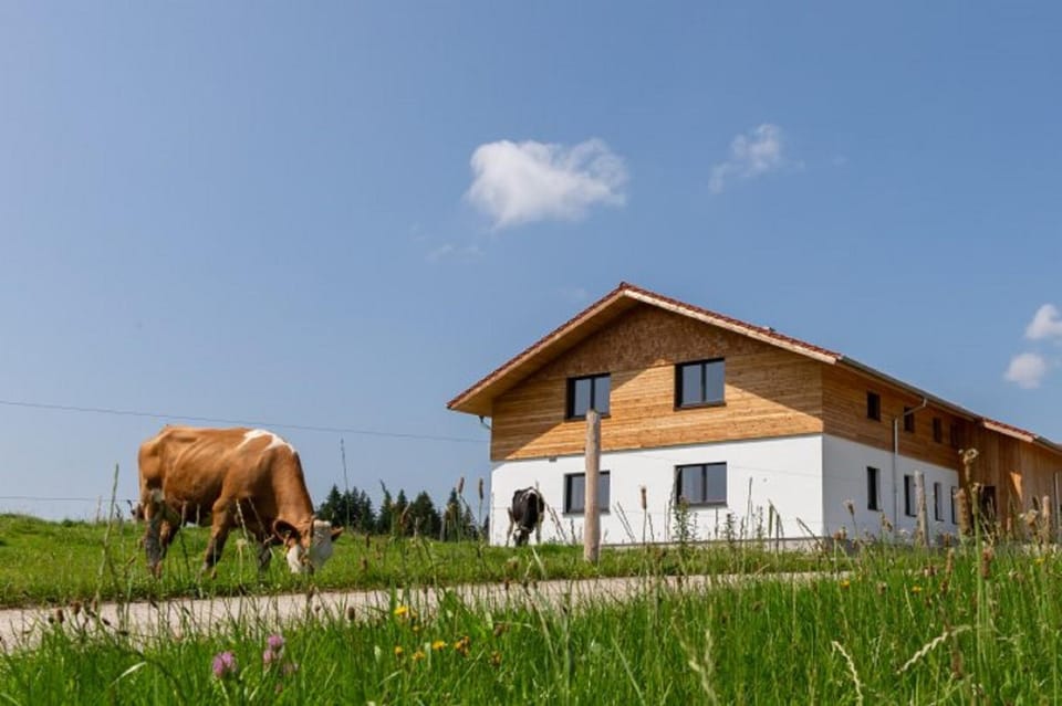 Property building, Animals