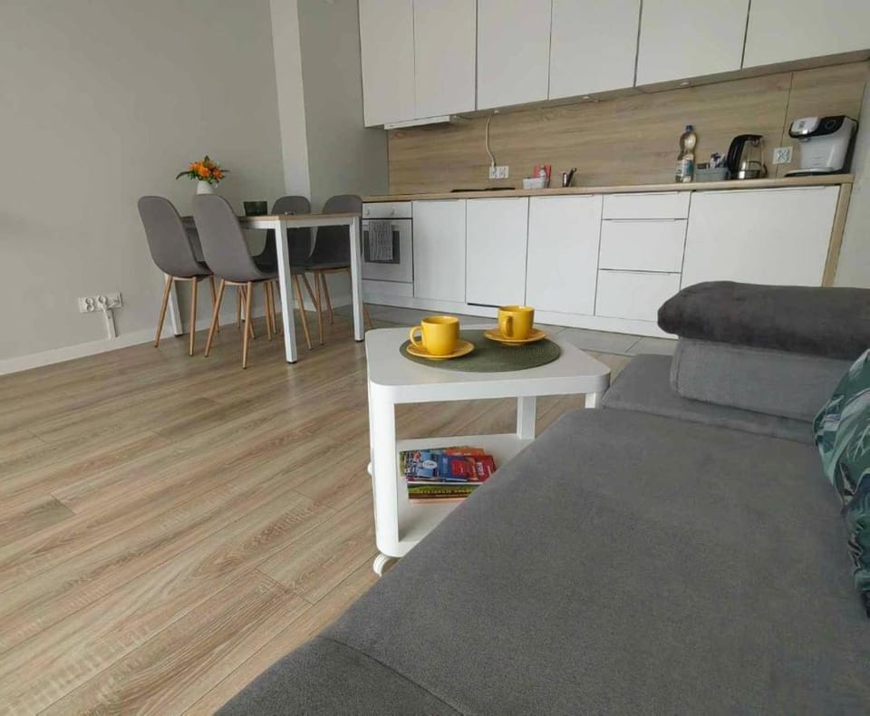 Apartament Miodowa w Straconce Apartment in Poland