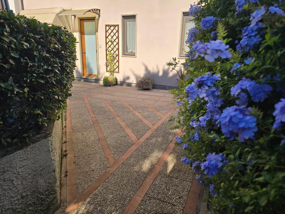Property building, Garden view