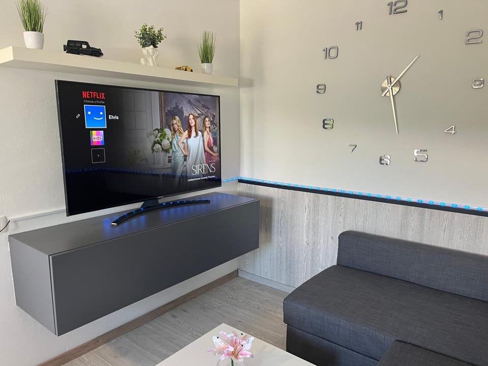 TV and multimedia
