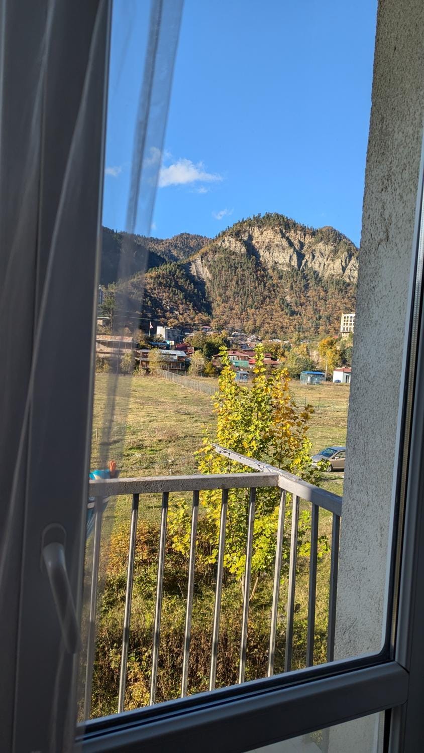 View (from property/room)