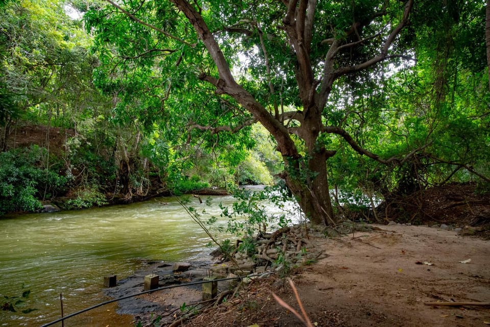 River view
