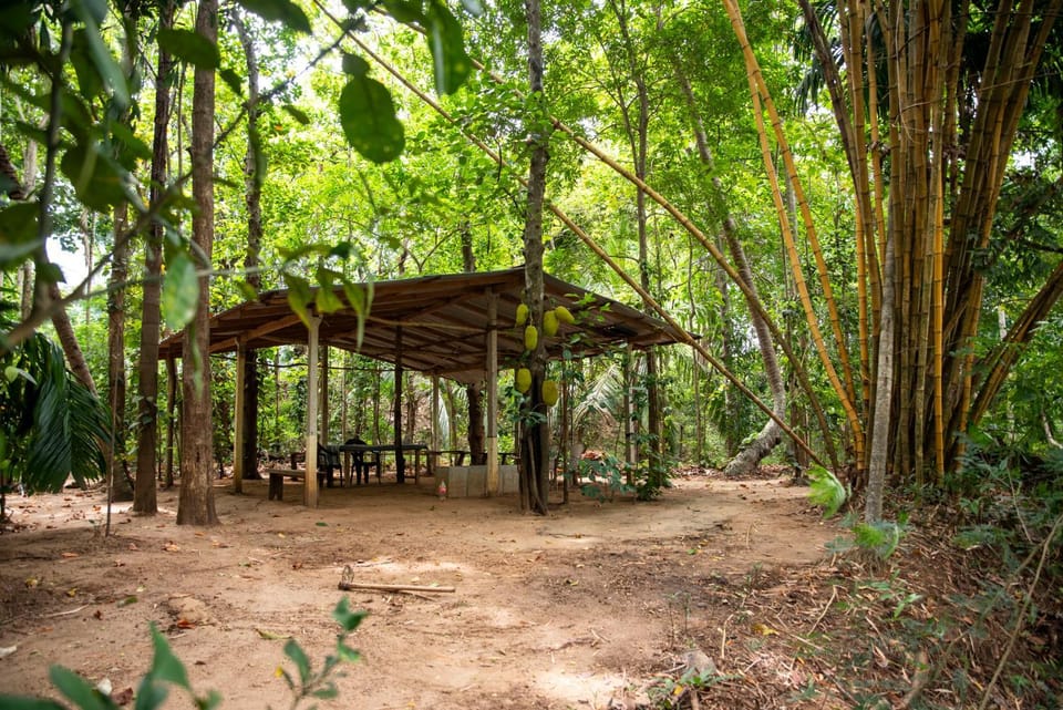 Garden, Seating area