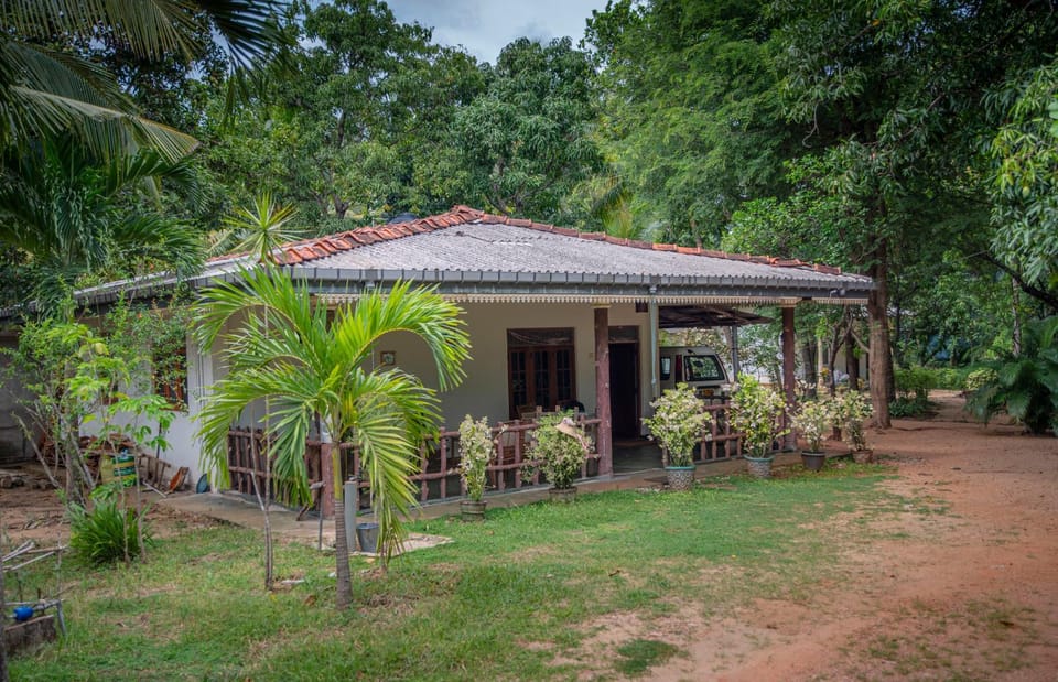 Property building, Garden, Garden, Garden view