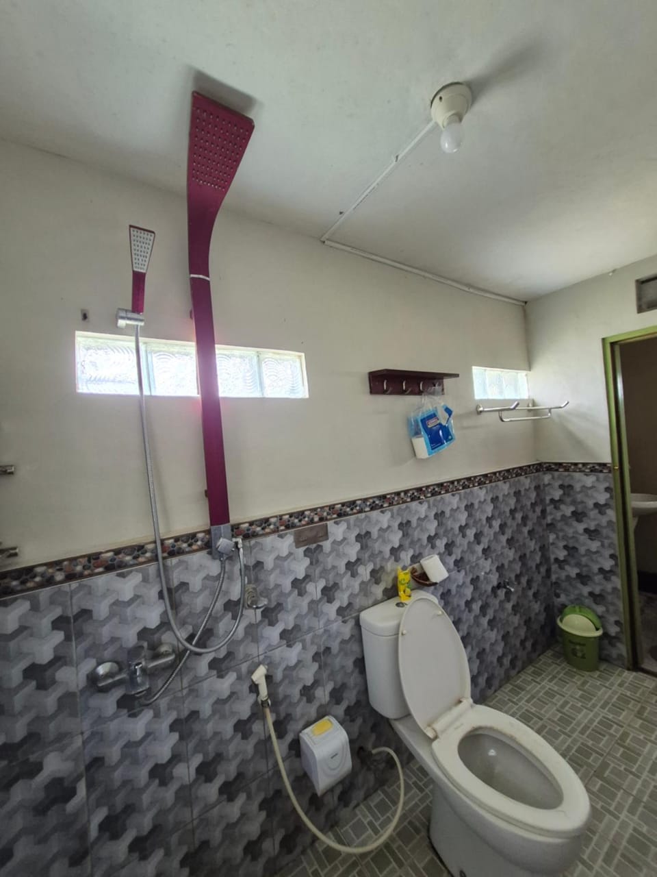 Shower, Toilet, Bathroom, bidet