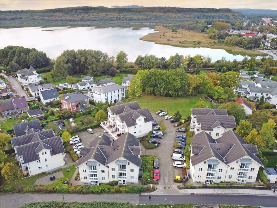 Property building, Neighbourhood, Bird's eye view