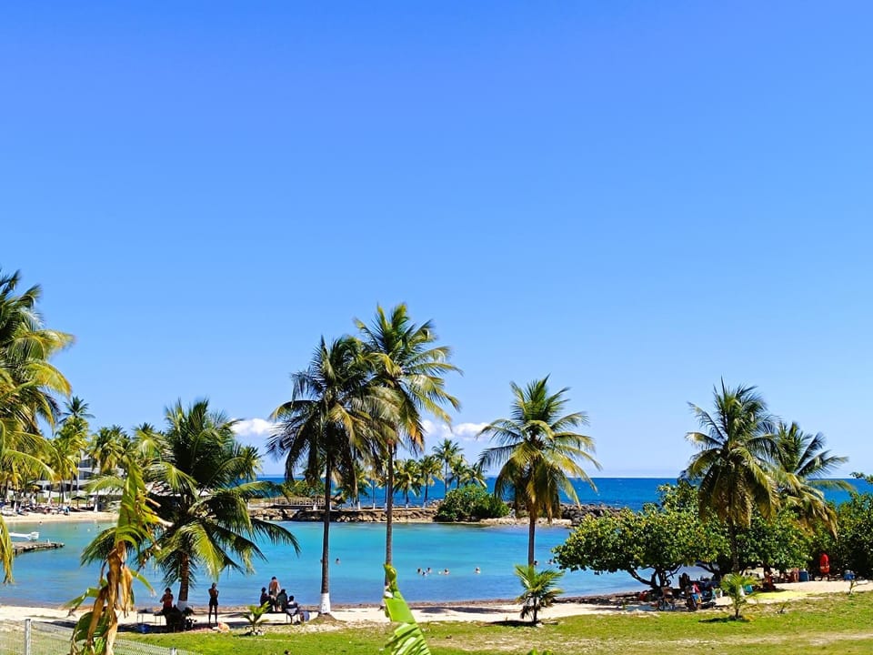 Sea view