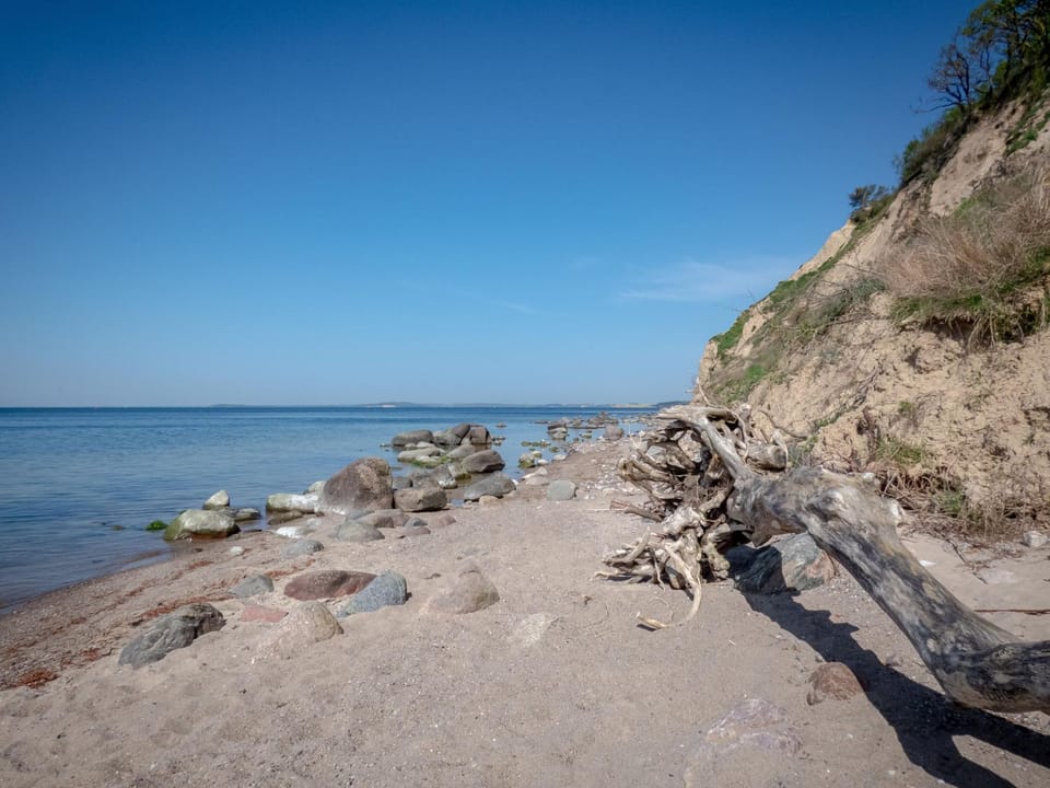 Natural landscape