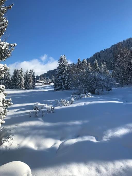 Très bel appartement à Megève Apartment in Megève