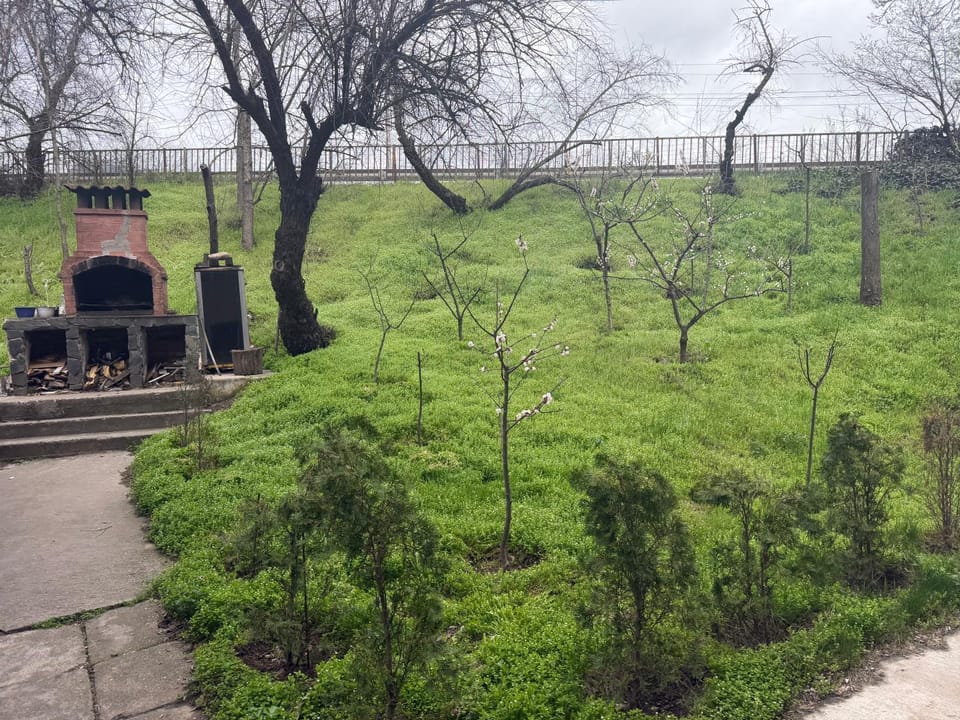 CasaWYW 1 Apartment in Craiova