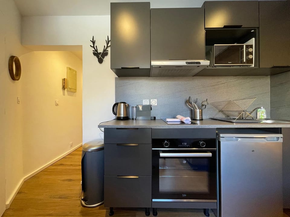 Coffee/tea facilities, Kitchen or kitchenette, oven, toaster