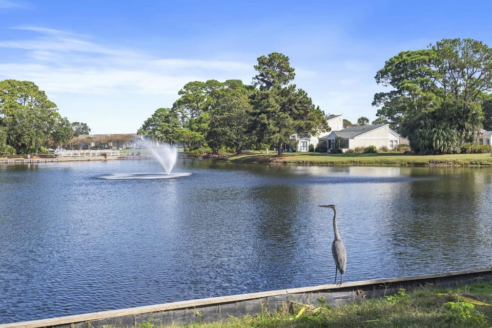 Sandpiper Shores House in Miramar Beach