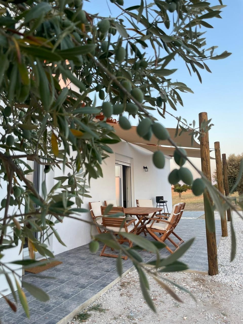 Patio, Garden