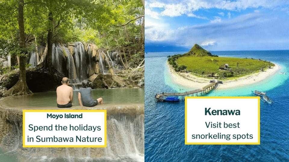Whale shark private trip Campground/ 
RV Resort in West Nusa Tenggara, Indonesia