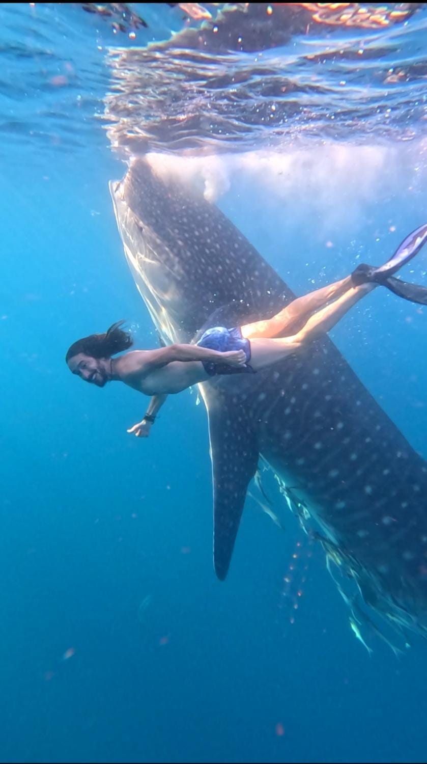 Snorkeling, Diving